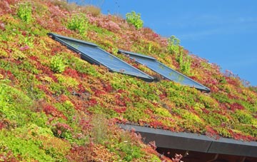 Mill Park living roof systems